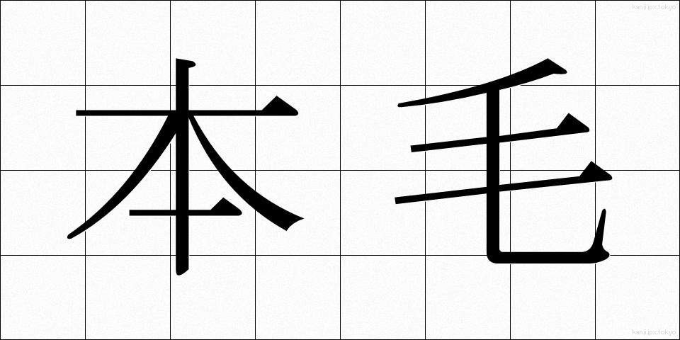 本毛 (ほんもう)
