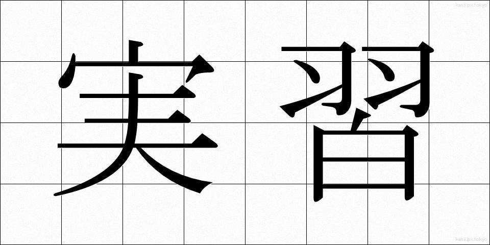 実習 (じっしゅう)