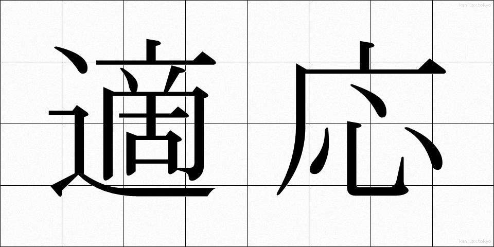 適応 (てきおう)