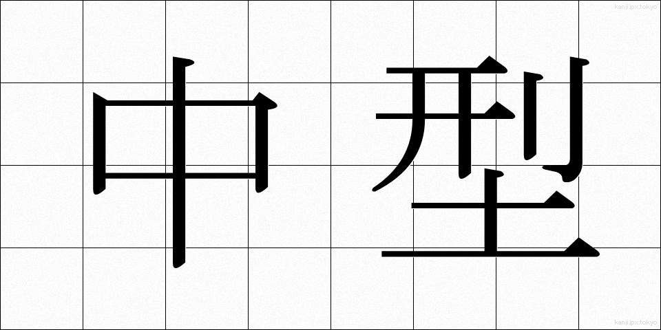 中型 (ちゅうがた)