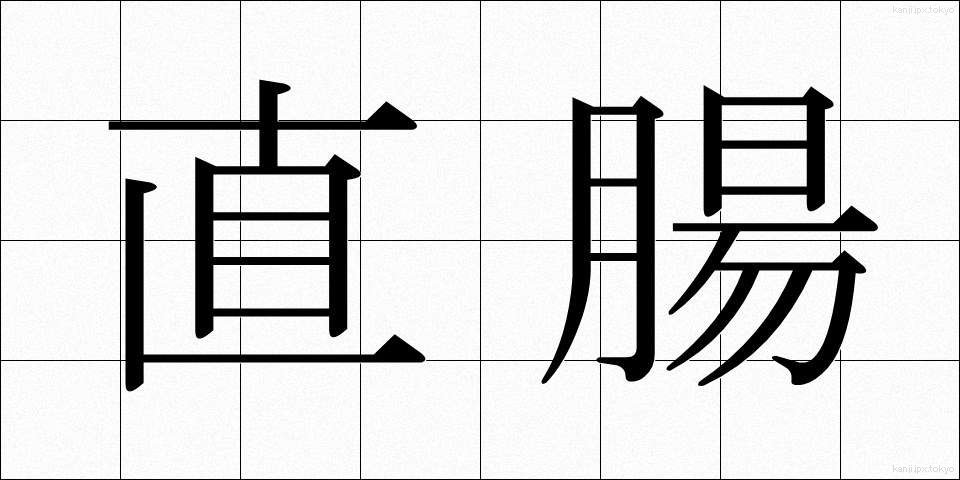 直腸 (ちょくちょう)
