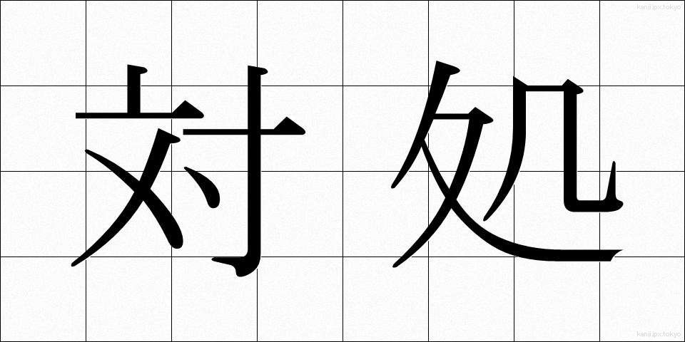対処 (たいしょ)