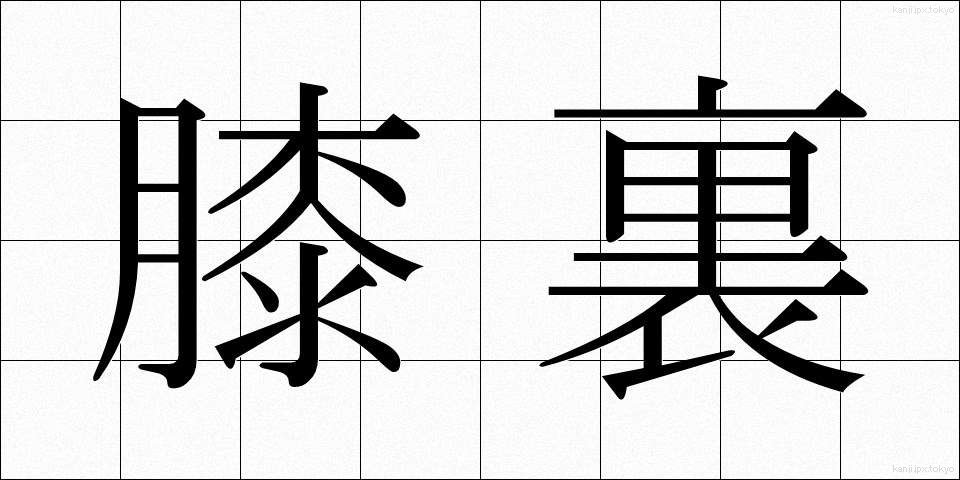 膝裏 (ひざうら)