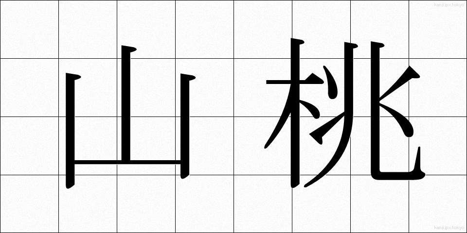山桃 (やまもも)