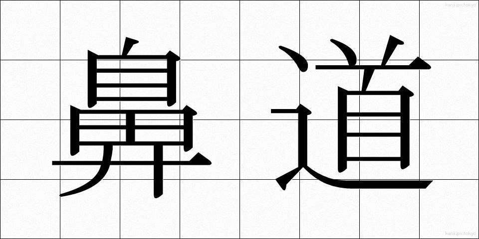鼻道 (びどう)