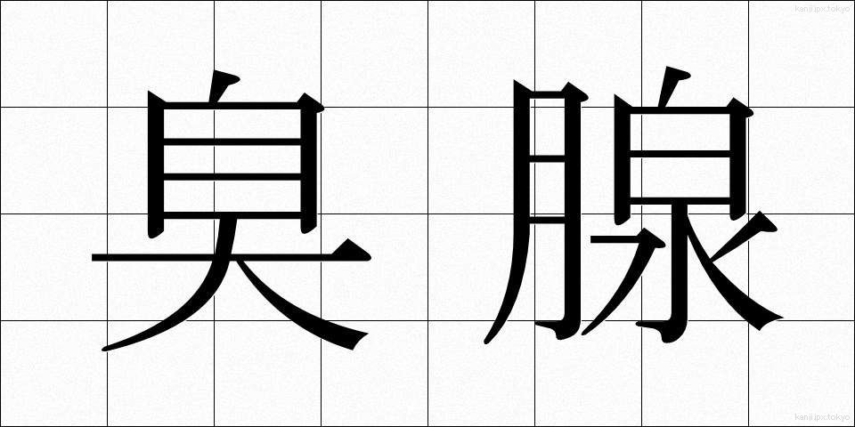臭腺 (しゅうせん)