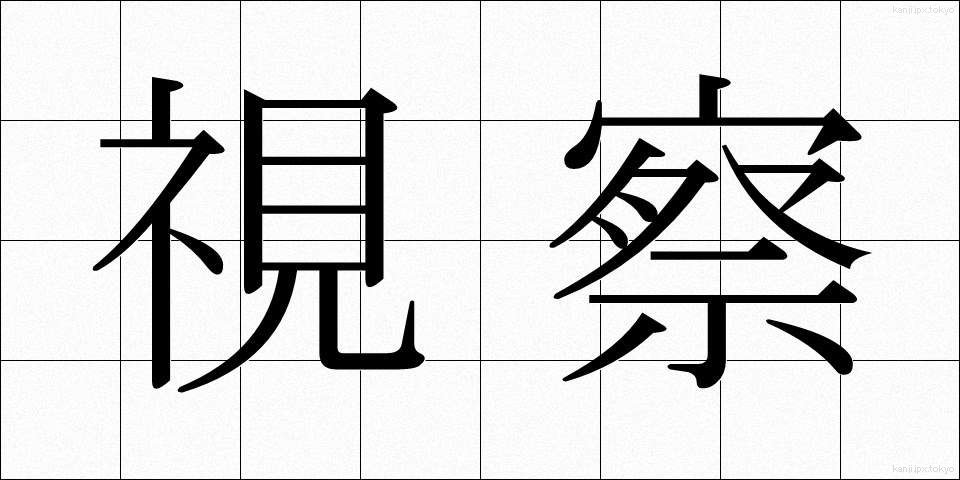 視察 (しさつ)