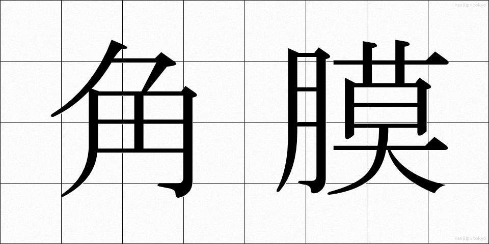 角膜 (かくまく)