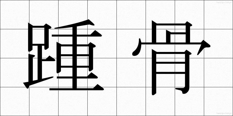 踵骨 (しょうこつ)
