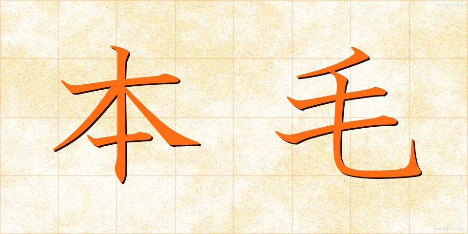 本毛 (ほんけ)