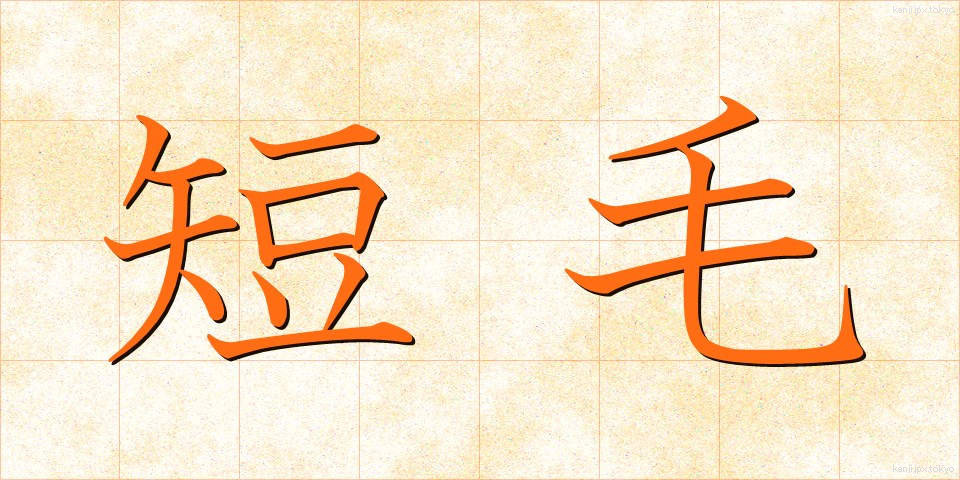 短毛 (たんもう)