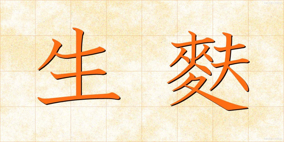 生麩 (しょうふ)