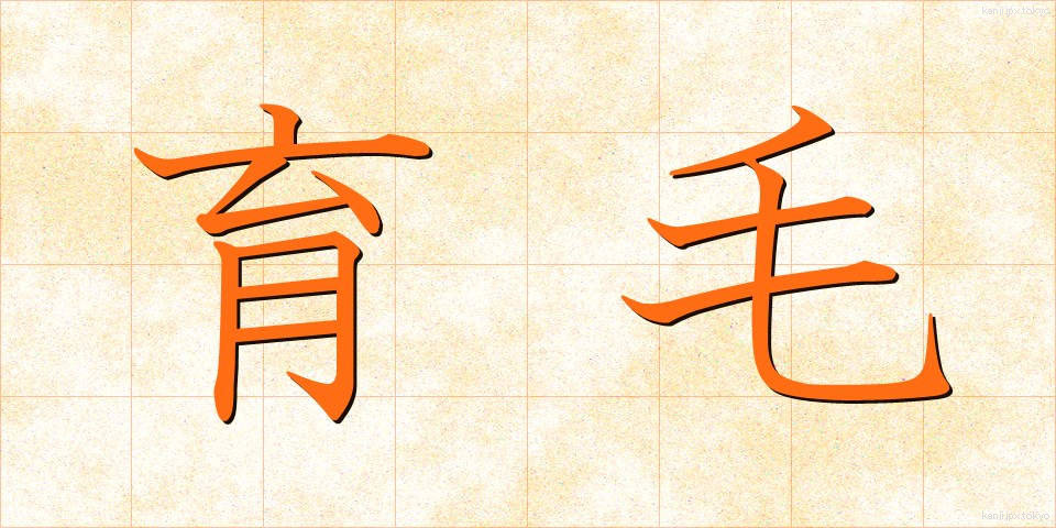 育毛 (いくもう)