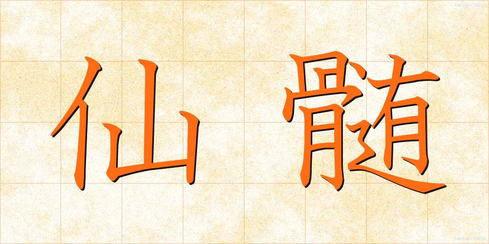 仙髄 (せんずい)