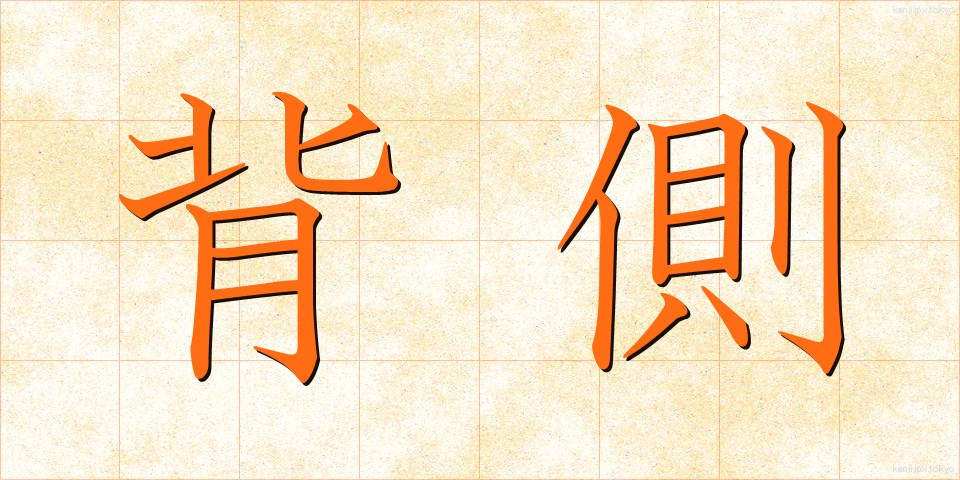 背側 (はいそく)