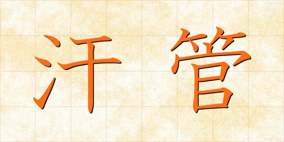 汗管 (かんかん)