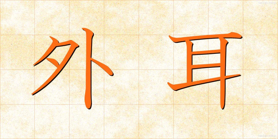 外耳 (がいじ)