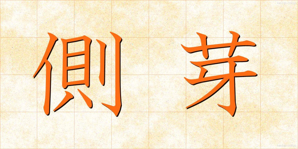 側芽 (そくが)