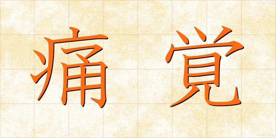 痛覚 (つうかく)