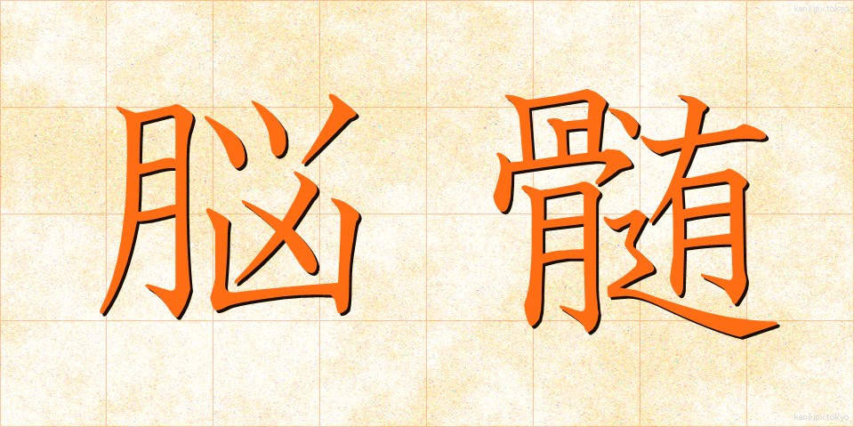 脳髄 (のうずい)