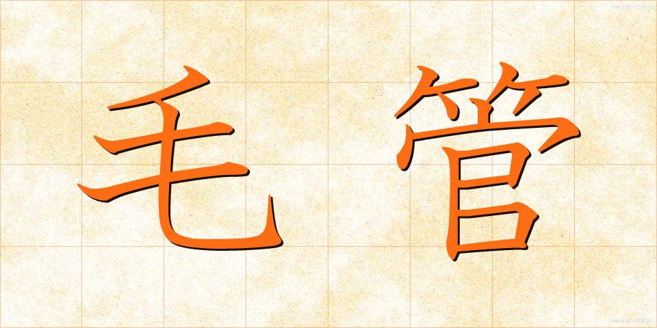 毛管 (もうかん)