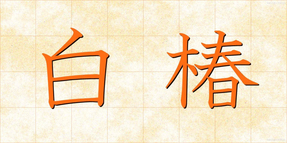 白椿 (しらつばき)