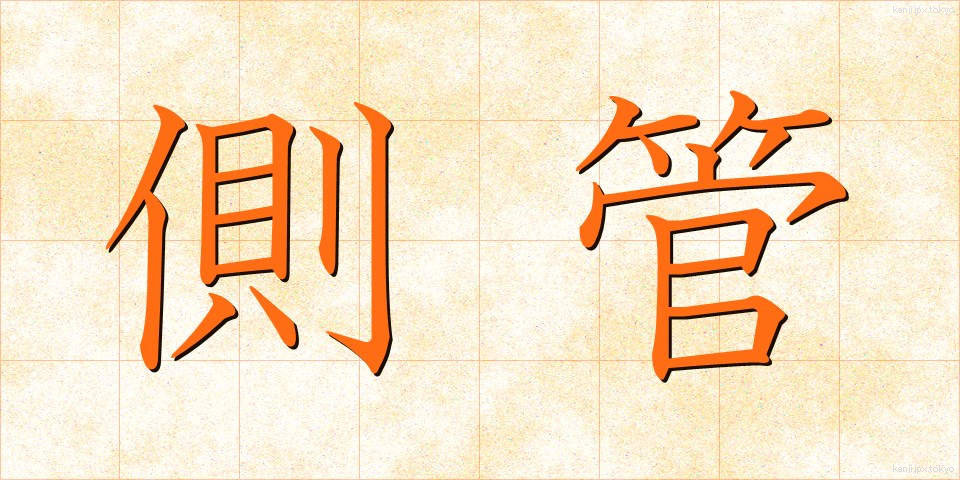 側管 (そくかん)
