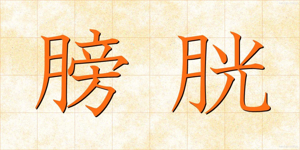 膀胱 (ぼうこう)