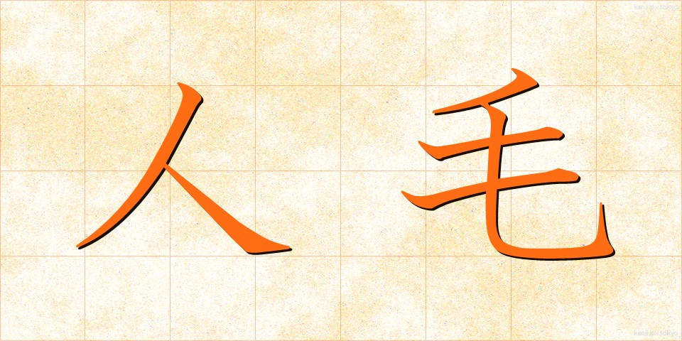 人毛 (じんもう)