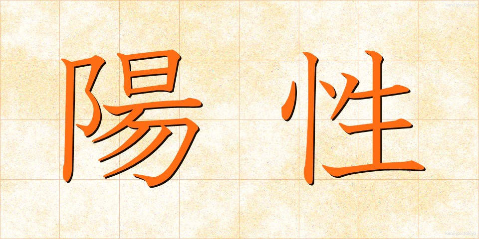 陽性 (ようせい)