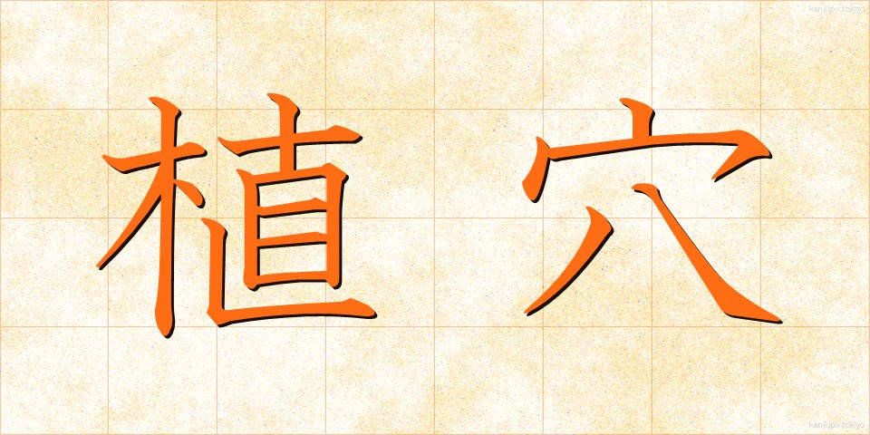 植穴 (うえあな)