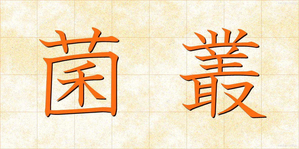 菌叢 (きんそう)