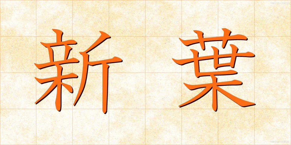 新葉 (しんよう)