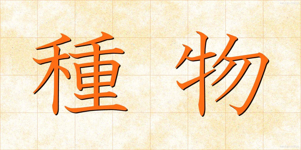種物 (たねもの)