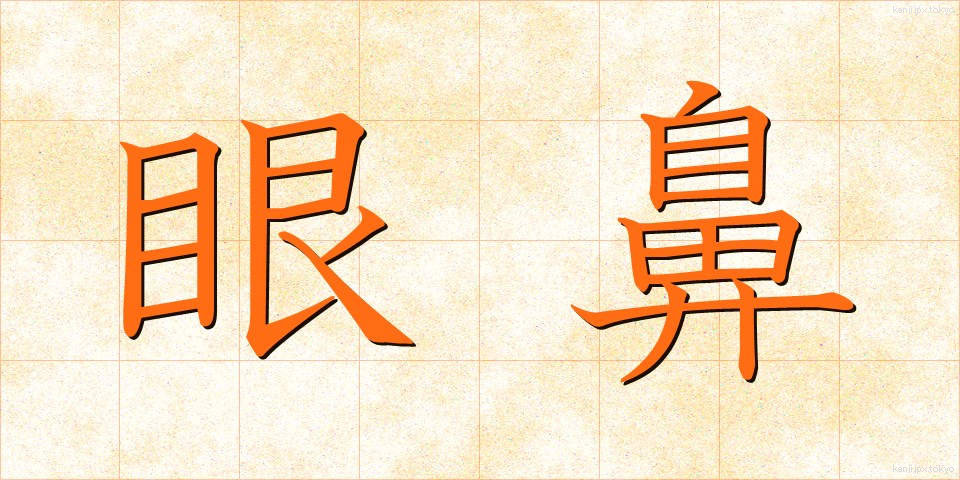 眼鼻 (がんび)