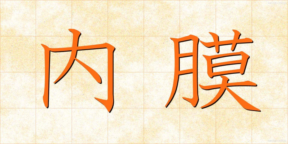 内膜 (ないまく)