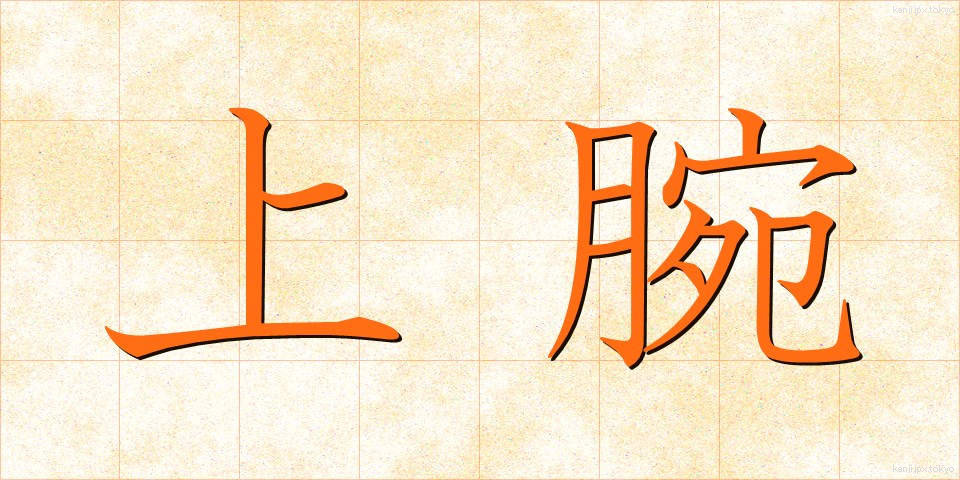 上腕 (じょうわん)