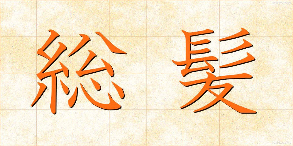 総髪 (そうはつ)