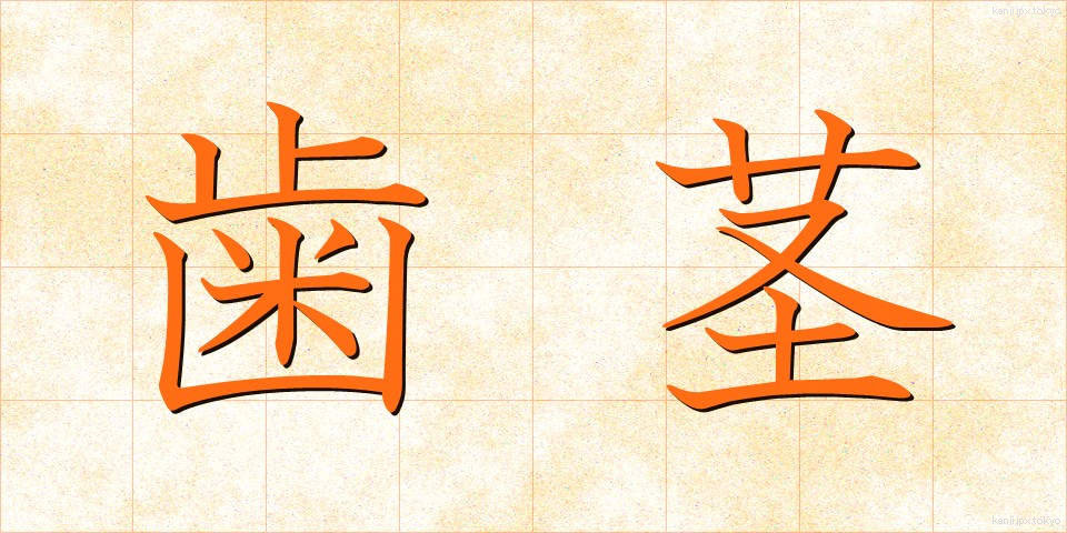歯茎 (はぐき)
