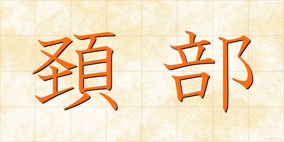頚部 (けいぶ)