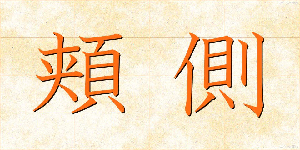 頬側 (ほおがわ)