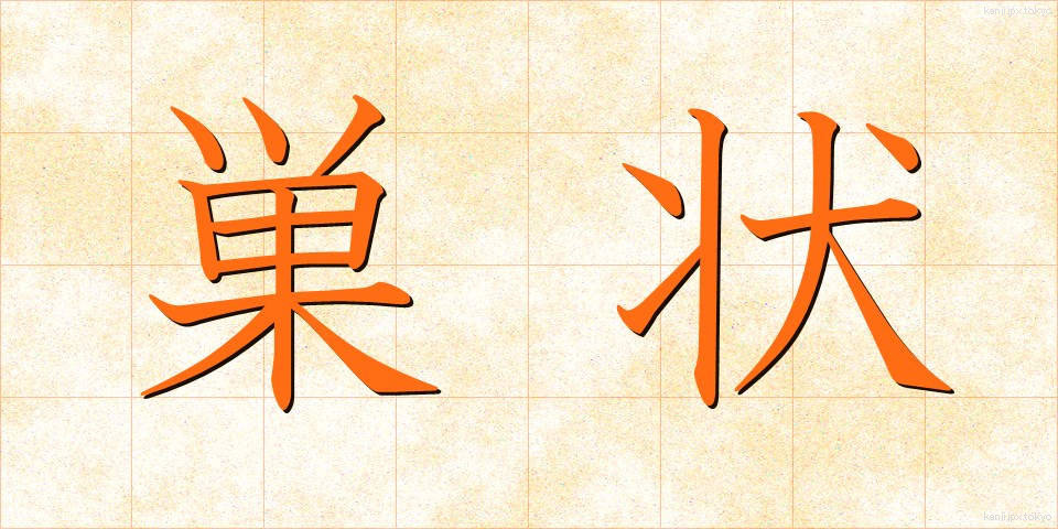 巣状 (すじょう)