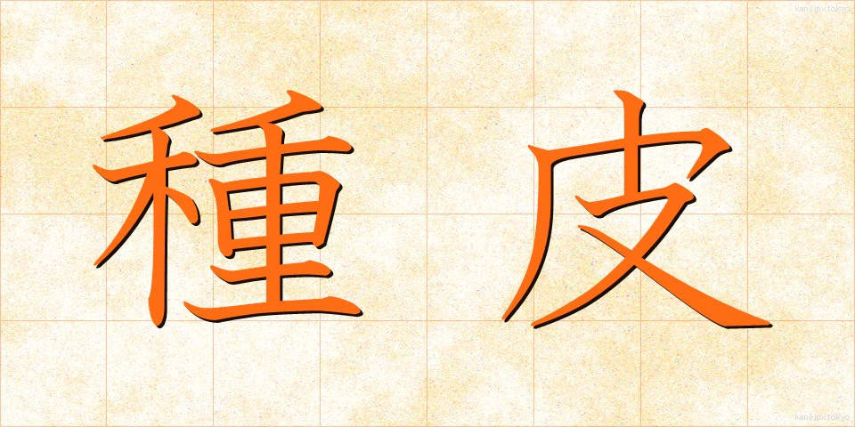種皮 (しゅひ)