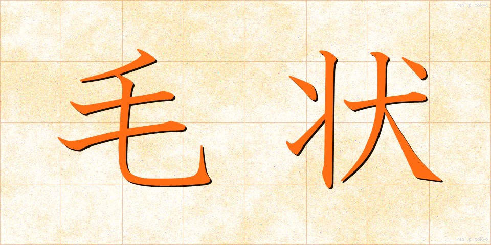 毛状 (もうじょう)