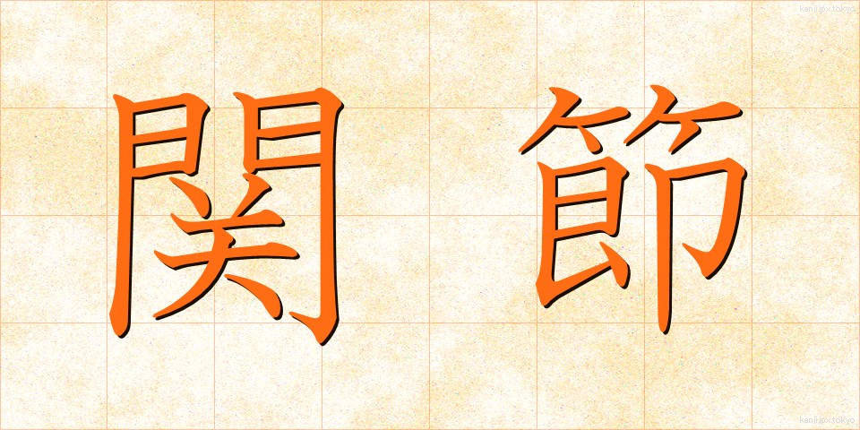 関節 (かんせつ)