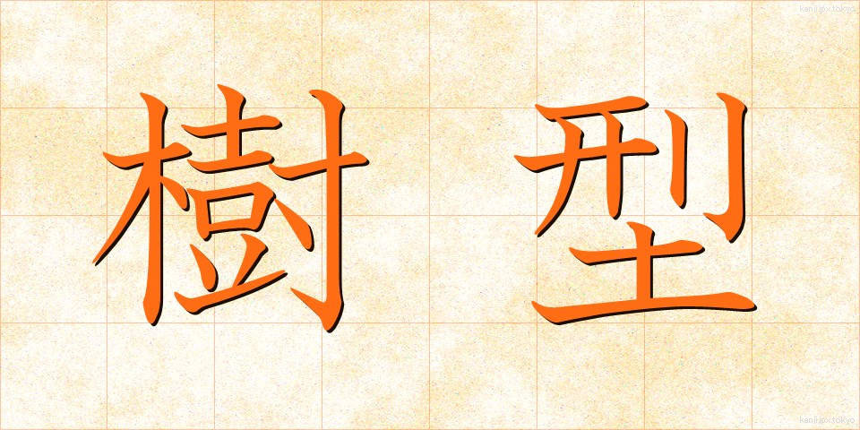 樹型 (じゅけい)
