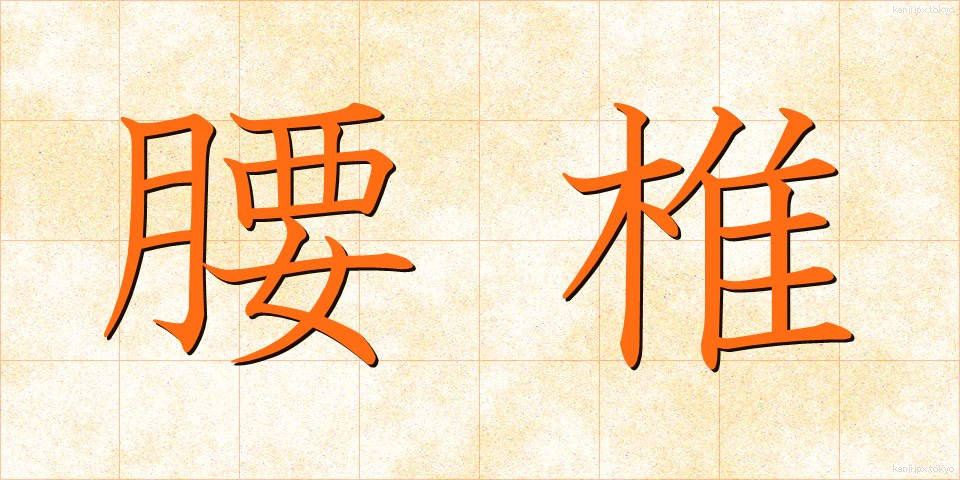 腰椎 (ようつい)