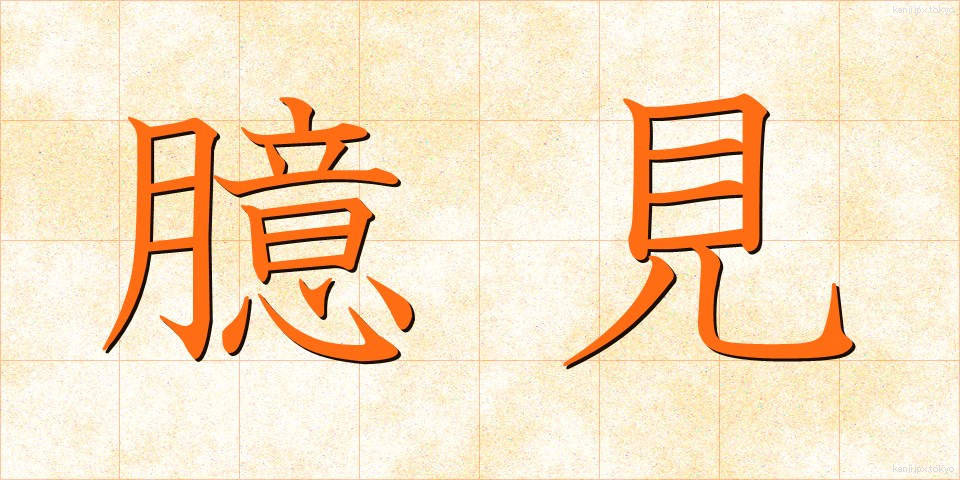 臆見 (おっけん)