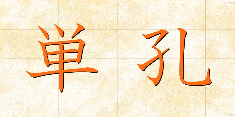 単孔 (たんこう)
