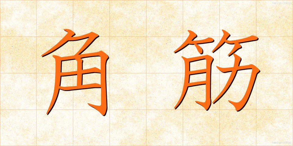 角筋 (かくすじ)
